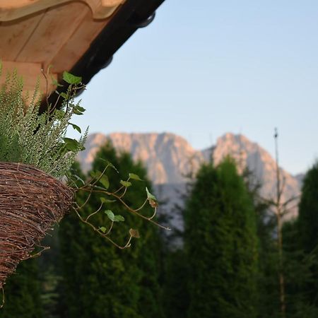Fiedorowka Villa Zakopane Buitenkant foto