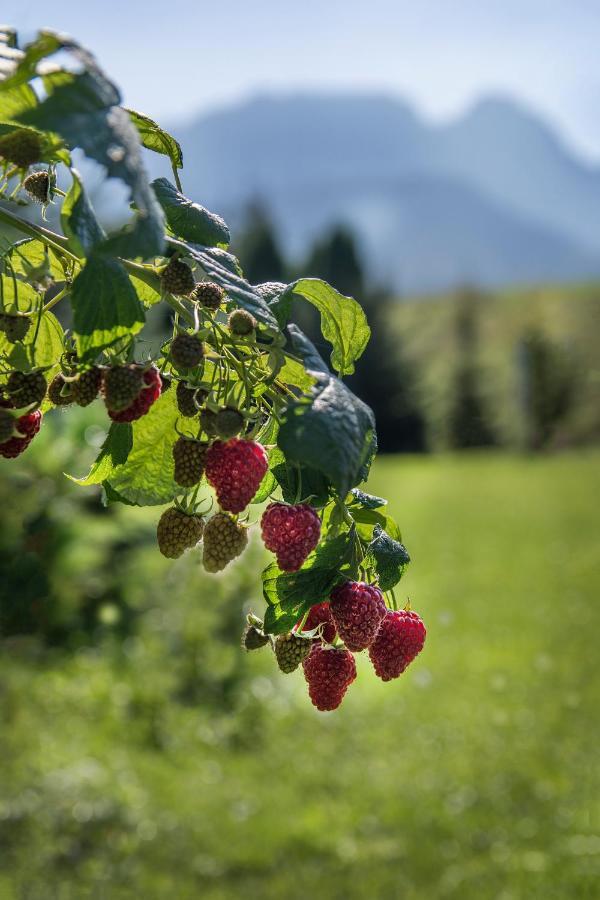 Fiedorowka Villa Zakopane Buitenkant foto