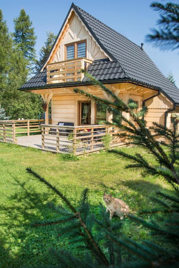 Fiedorowka Villa Zakopane Buitenkant foto
